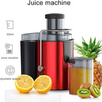 Stainless Steel Portable Fruit Juicers